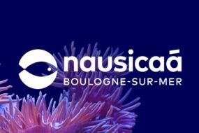 NAUSICAA 1 nausicaa témoignage client